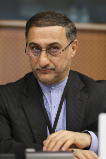 Nuotrauka 20: EU delegation for relations with Iran meet with Iranian Delegation at the EP in Brussels