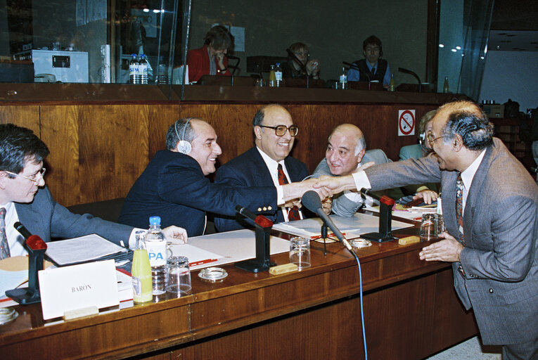 Fotografie 10: Committee on Foreign Affairs and Security - Exchange of views with a delegation of the Palestinian Authority