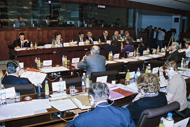 Fotografie 9: Committee on Foreign Affairs and Security - Exchange of views with a delegation of the Palestinian Authority