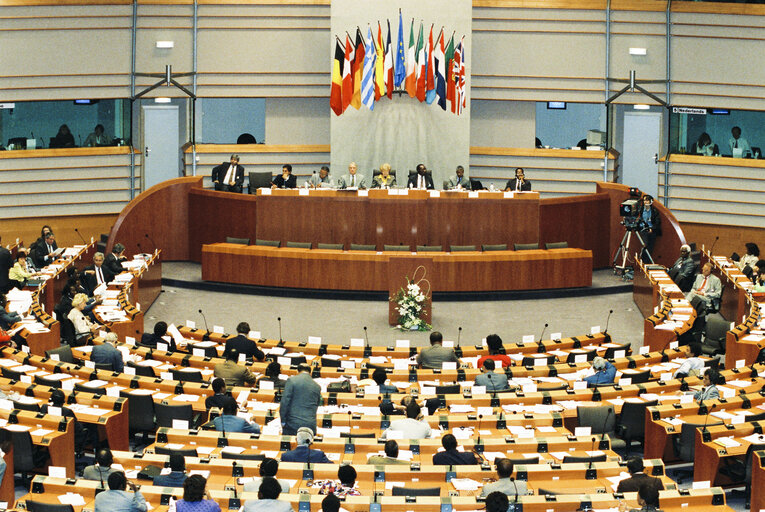 Fotografi 10: 17th session of the EEC-ACP Joint Assembly