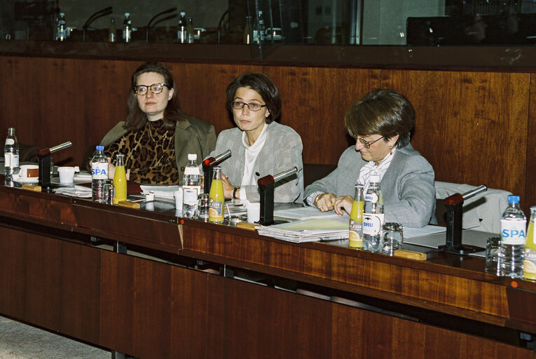 MEP Marianne THYSSEN with guests
