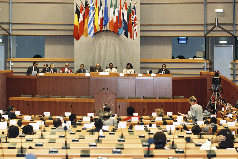 Nuotrauka 12: 17th session of the EEC-ACP Joint Assembly