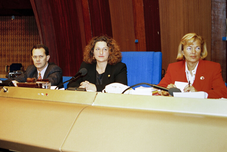 Foto 16: Plenary session in Strasbourg