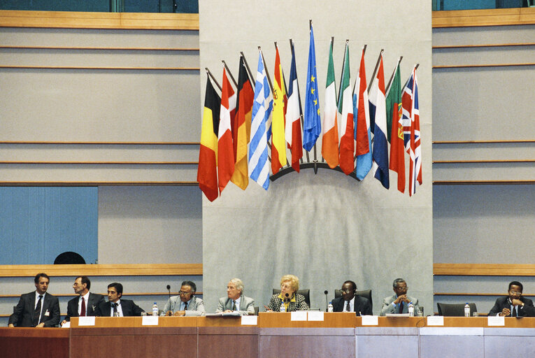 Nuotrauka 13: 17th session of the EEC-ACP Joint Assembly