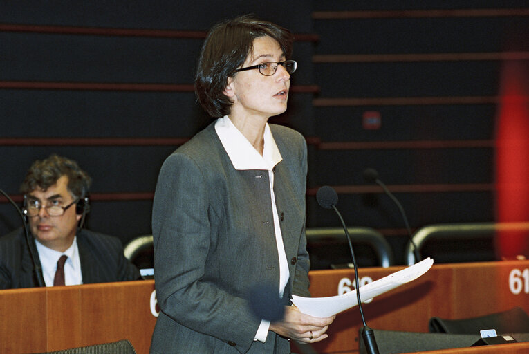 Plenary session in Brussels