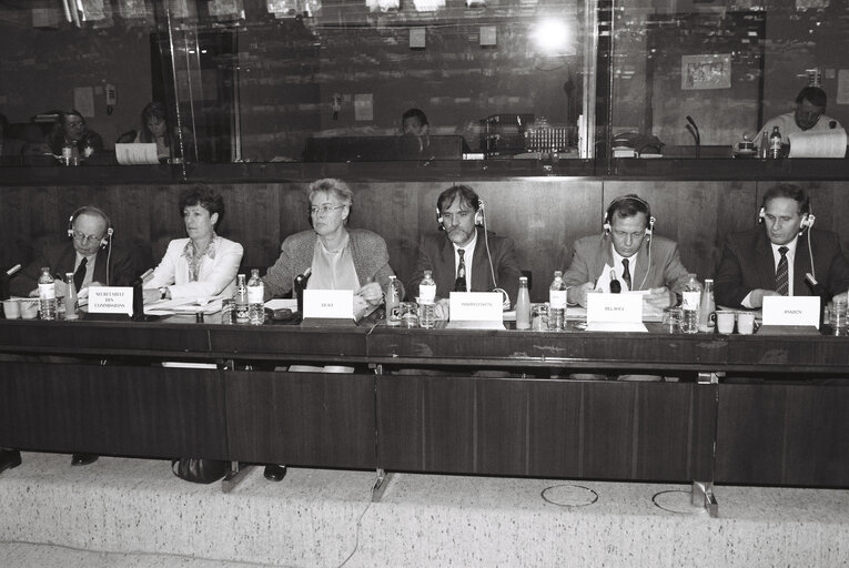 Foto 3: Meeting of the Committee on Economic and Monetary Affairs and Industrial Policy in September 1992