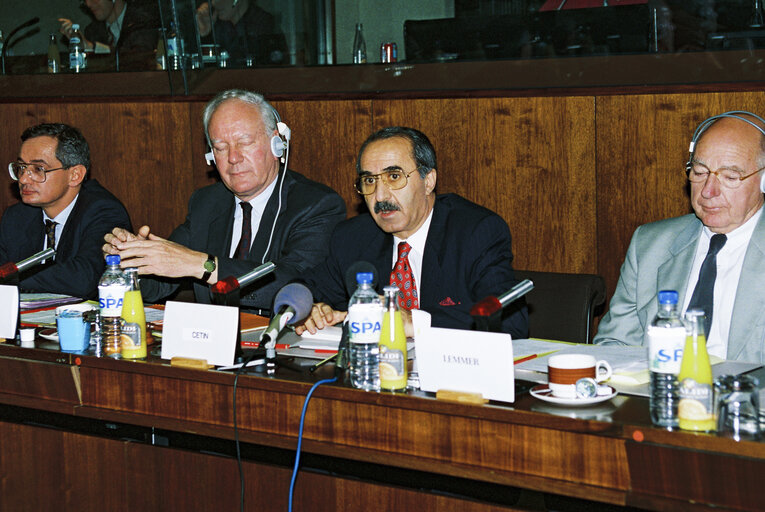 Fotografie 4: Meeting of the EC-Turkey Joint Parliamentary Committee