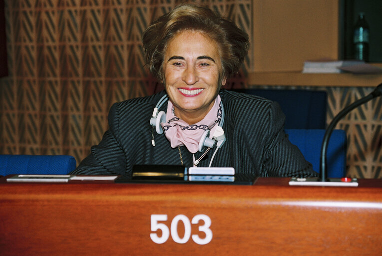 Plenary session in Strasbourg