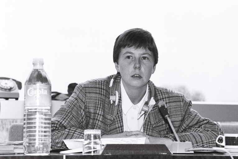 Foto 5: Meeting in Strasbourg in September 1992