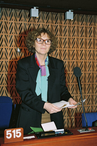 Plenary session in Strasbourg