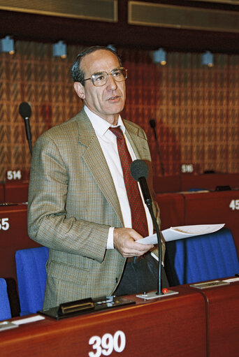 Plenary session in Strasbourg