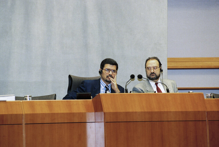 Plenary session in Brussels