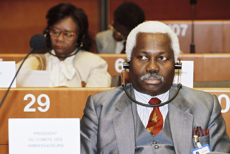 Nuotrauka 19: 17th session of the EEC-ACP Joint Assembly