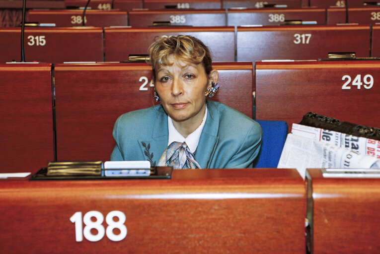 Plenary session in Strasbourg