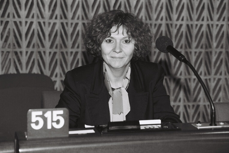 Plenary session in Strasbourg