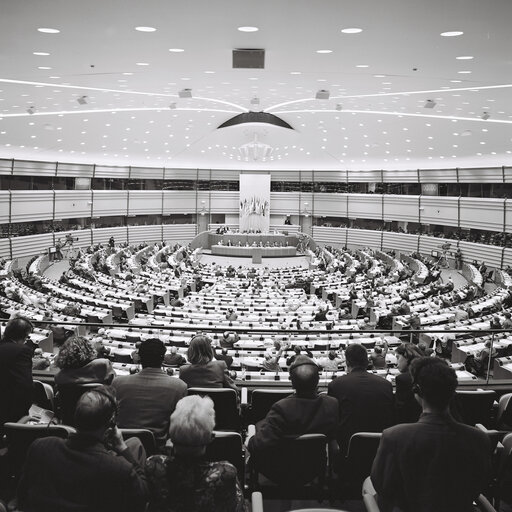 Fotografi 43: 17th session of the EEC-ACP Joint Assembly