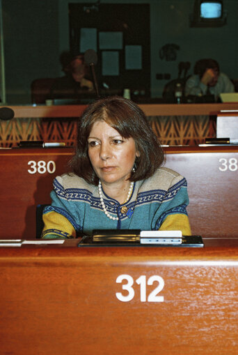 Plenary session in Strasbourg