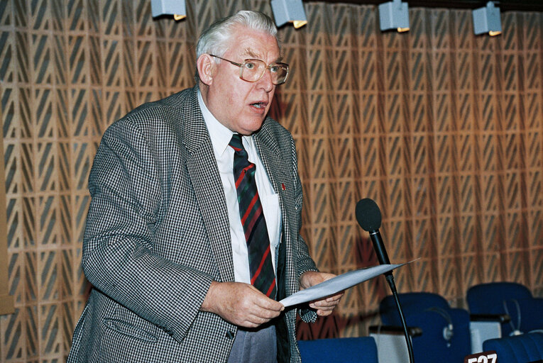 Plenary session in Strasbourg