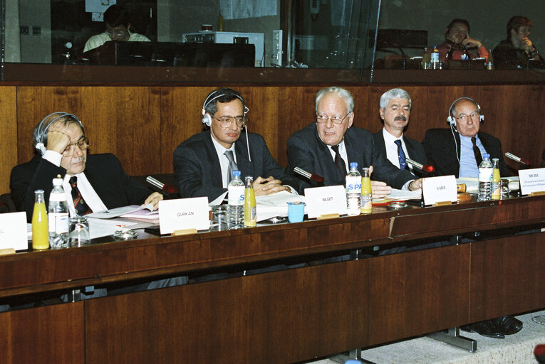 Fotografie 5: Meeting of the EC-Turkey Joint Parliamentary Committee