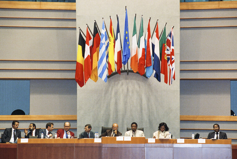 Fotografi 24: 17th session of the EEC-ACP Joint Assembly