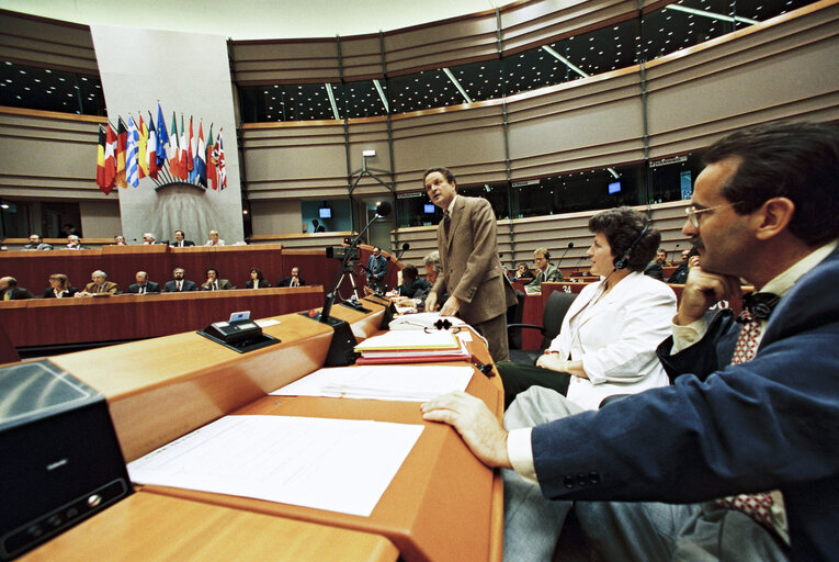 Plenary session in Brussels