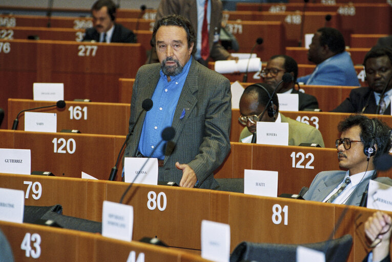 Fotografi 28: 17th session of the EEC-ACP Joint Assembly