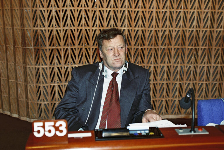 Plenary session in Strasbourg