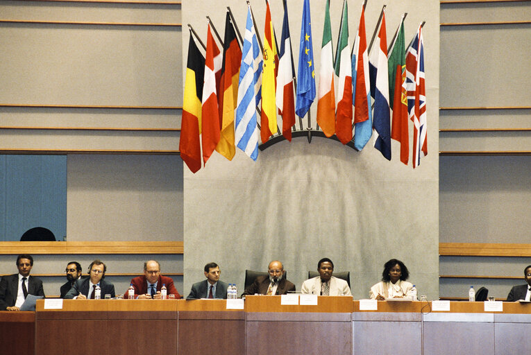 Fotografi 27: 17th session of the EEC-ACP Joint Assembly