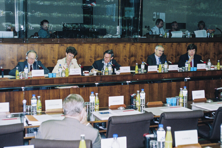 Fotografia 5: Meeting of the Committee on Economic and Monetary Affairs and Industrial Policy in September 1992