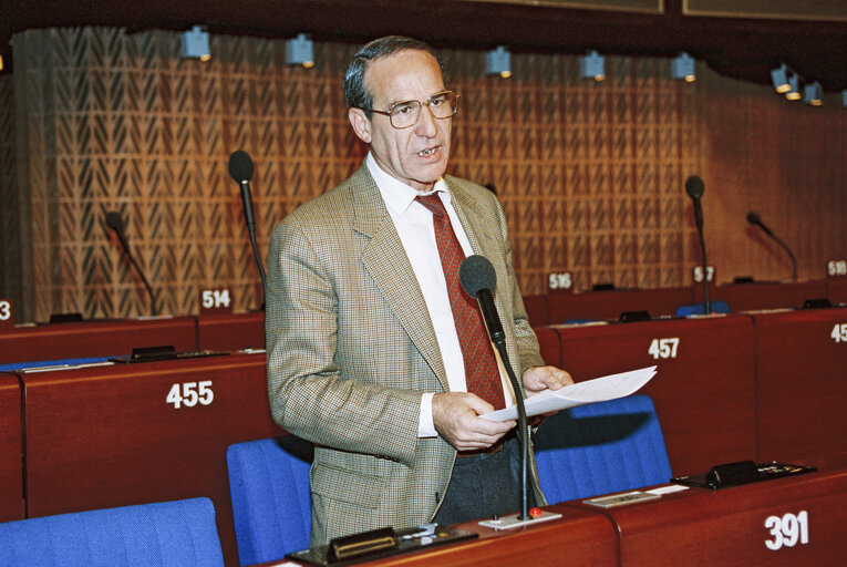 Foto 8: Plenary session in Strasbourg