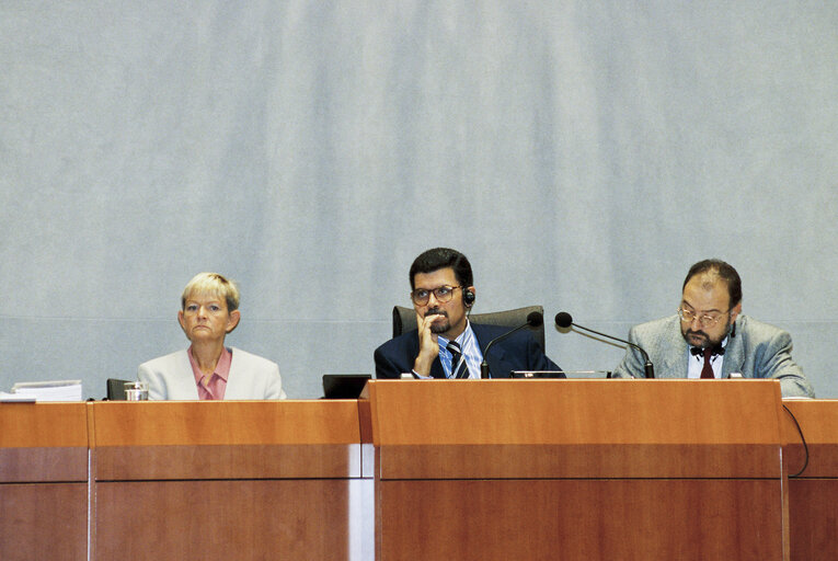 Φωτογραφία 47: Plenary session in Brussels