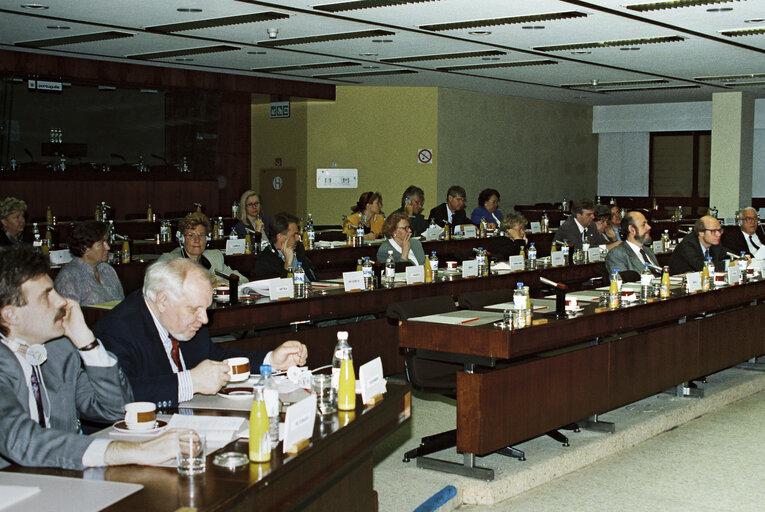 Foto 9: Meeting of the EC-Finland Joint Parliamentary Committee