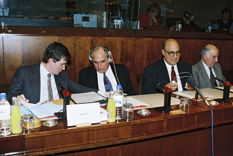 Fotografie 5: Committee on Foreign Affairs and Security - Exchange of views with a delegation of the Palestinian Authority