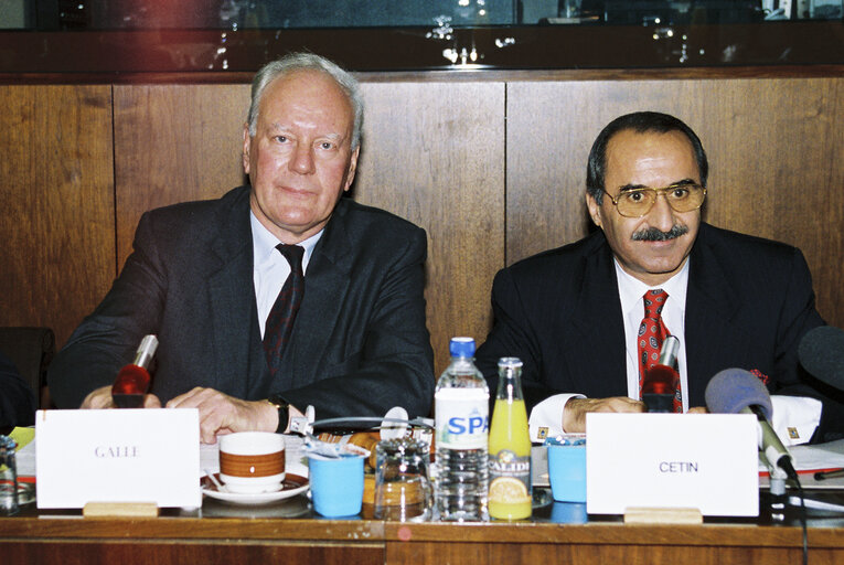 Fotografie 6: Meeting of the EC-Turkey Joint Parliamentary Committee