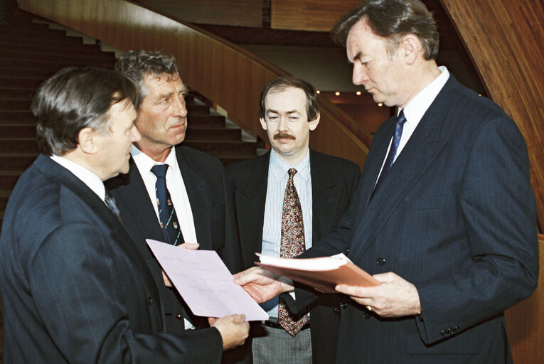 Fotografia 4: Meeting with European Commissioner Padraig FLYNN