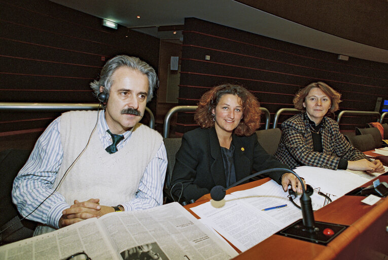 Plenary session in Brussels