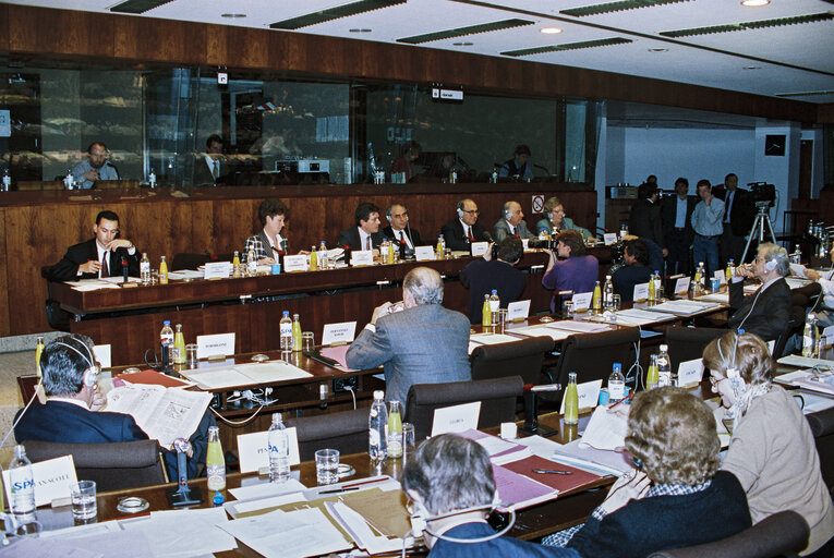 Fotografie 4: Committee on Foreign Affairs and Security - Exchange of views with a delegation of the Palestinian Authority