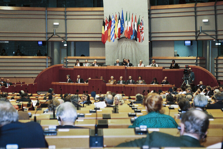 Fotografi 5: Plenary session in Brussels