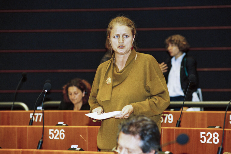 Plenary session in Brussels