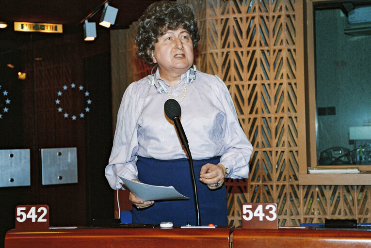 Plenary session in Strasbourg