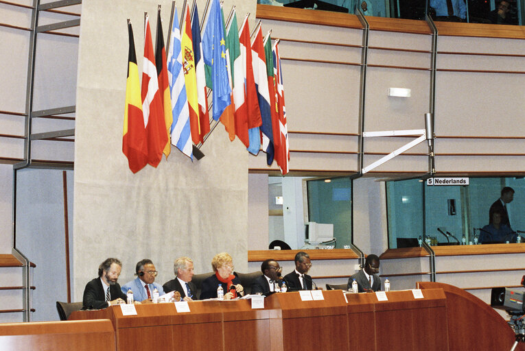 Fotografia 18: 17th session of the EEC-ACP Joint Assembly