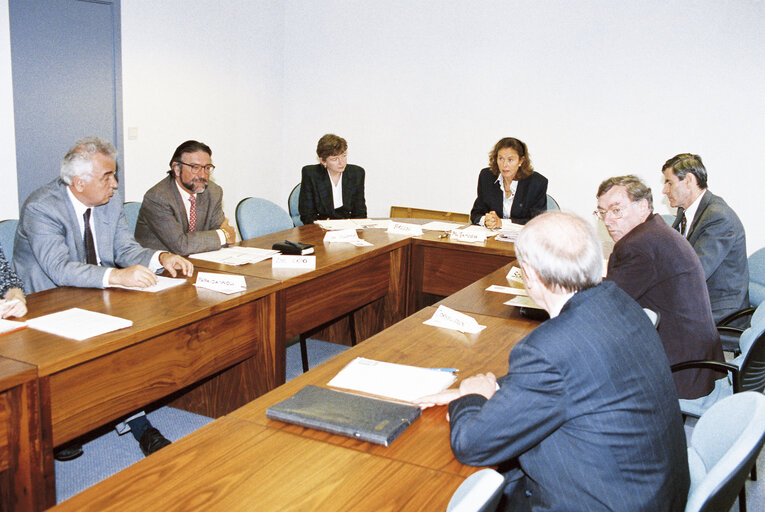 Meeting at the European Parliament in Brussels