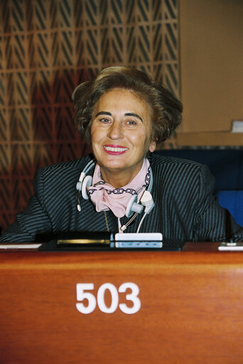 Plenary session in Strasbourg