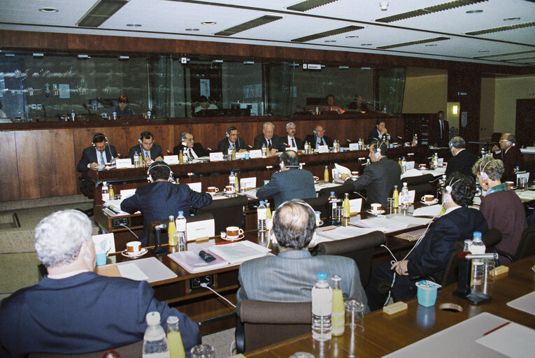 Foto 8: Meeting of the EC-Turkey Joint Parliamentary Committee