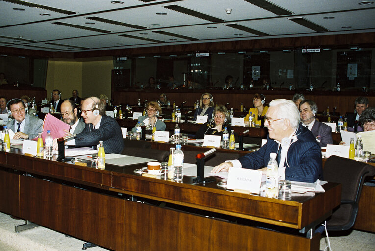 Foto 11: Meeting of the EC-Finland Joint Parliamentary Committee