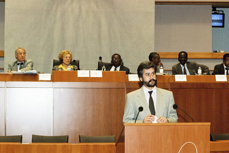 Fotografia 4: 17th session of the EEC-ACP Joint Assembly