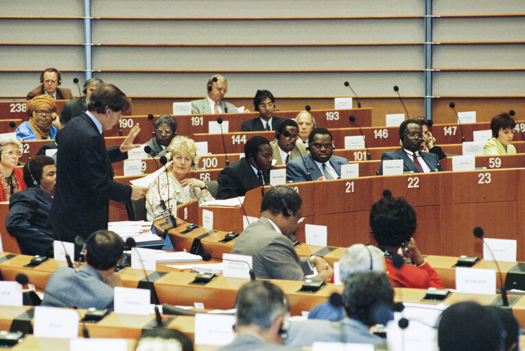 Fotografi 37: 17th session of the EEC-ACP Joint Assembly