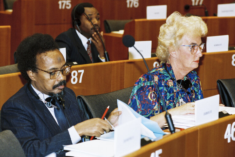 Fotografi 16: 17th session of the EEC-ACP Joint Assembly