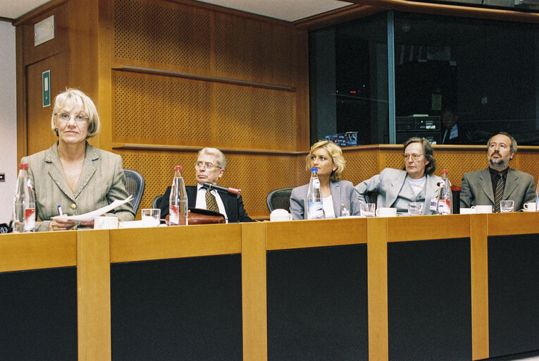 Fotografie 2: Meeting in the European Parliament