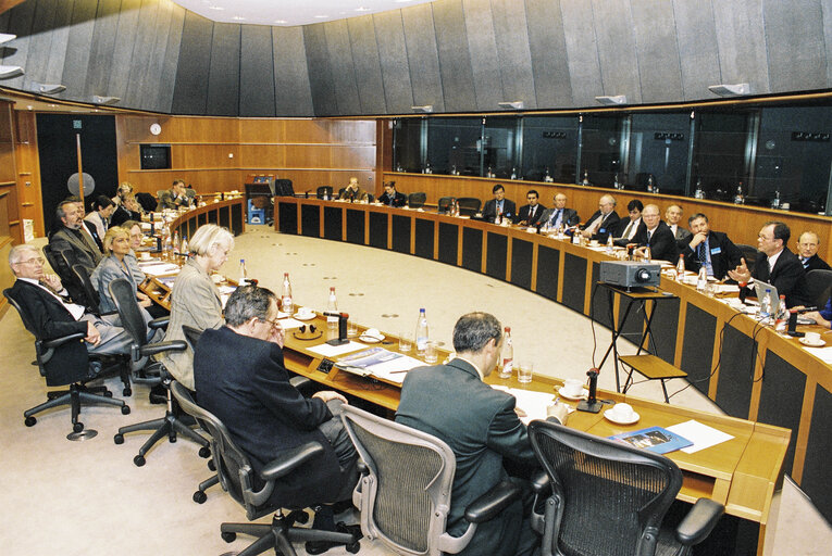 Fotogrāfija 3: Meeting in the European Parliament